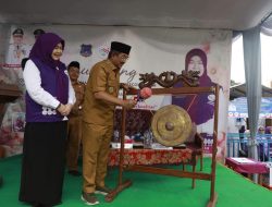 Bupati Tanjab Barat Resmikan Posyandu 6 SPM Percontohan di Betara