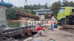 Puluhan Ribu Kayu Bakau Dimuat ke KLM Berkat Selayar di Pelabuhan Beton Sekupang, Diduga Dikirim ke Dapur Arang