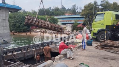 Puluhan Ribu Kayu Bakau Dimuat ke KLM Berkat Selayar di Pelabuhan Beton Sekupang, Diduga Dikirim ke Dapur Arang