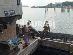 KLM Berkat Selayar Angkut Puluhan Ribu Kayu Bakau dari Pelabuhan Beton Sekupang Tanpa SPB