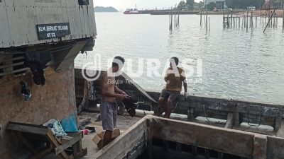 KLM Berkat Selayar Angkut Puluhan Ribu Kayu Bakau dari Pelabuhan Beton Sekupang Tanpa SPB