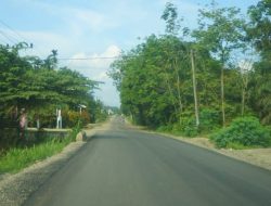 Bupati Annisa Percepat Perbaikan Jalan Rusak di Dharmasraya Lewat APBD dan CSR
