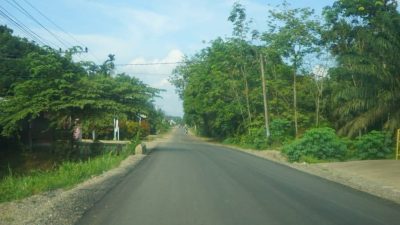Bupati Annisa Percepat Perbaikan Jalan Rusak di Dharmasraya Lewat APBD dan CSR