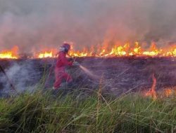 Potensi Karhutla di Sumatera Meningkat, Balai Dalkarhut Minta Masyarakat Waspada