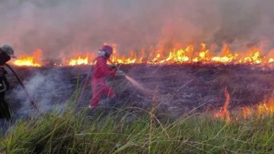 Potensi Karhutla di Sumatera Meningkat, Balai Dalkarhut Minta Masyarakat Waspada