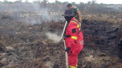 Karhutla di Rohil Masuk Hari Kedua, Tim Gabungan Fokus Pendinginan