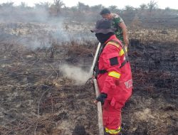 Karhutla di Rohil Masuk Hari Kedua, Tim Gabungan Fokus Pendinginan